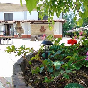Bed and Breakfast Casale Rurale San Marco Evangelista Exterior photo