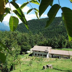 Bosco delle Rune ..un angolo di paradiso Platischis Exterior photo