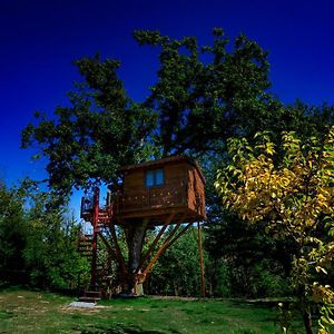 Bed and Breakfast Casa sull'albero Bocchineri Rogliano Exterior photo