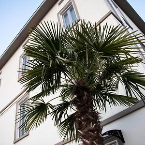 Le Palme Residence Parma Exterior photo
