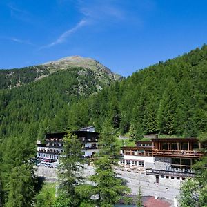 Hotel Zebru Solda Exterior photo