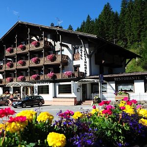 Hotel Orsingher San Martino Di Castrozza Exterior photo