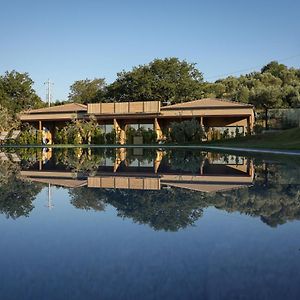 Hang Loose Cottage Hotel & Resort 4 Stelle Gizzeria Calabria Exterior photo