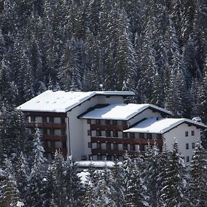 Residence Edelweiss San Martino Di Castrozza Exterior photo