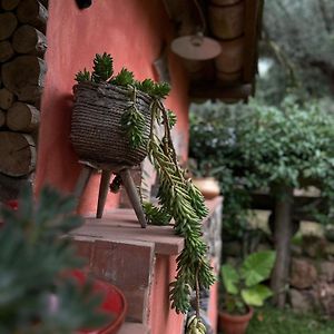 Bed and Breakfast The Treehouse - Casa sull'albero al Golden Camp Falerna Exterior photo