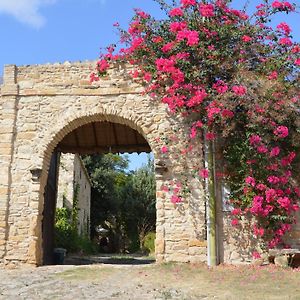 Bed and Breakfast Sa Domu De Sa Contissa Selegas Exterior photo