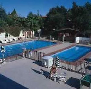 Hotel La Pineta Albenga Exterior photo