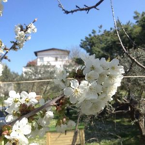 Bed and Breakfast Via col Vento Chieti Exterior photo