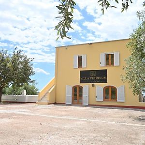 Villa Petrinum B&B Mondragone Exterior photo
